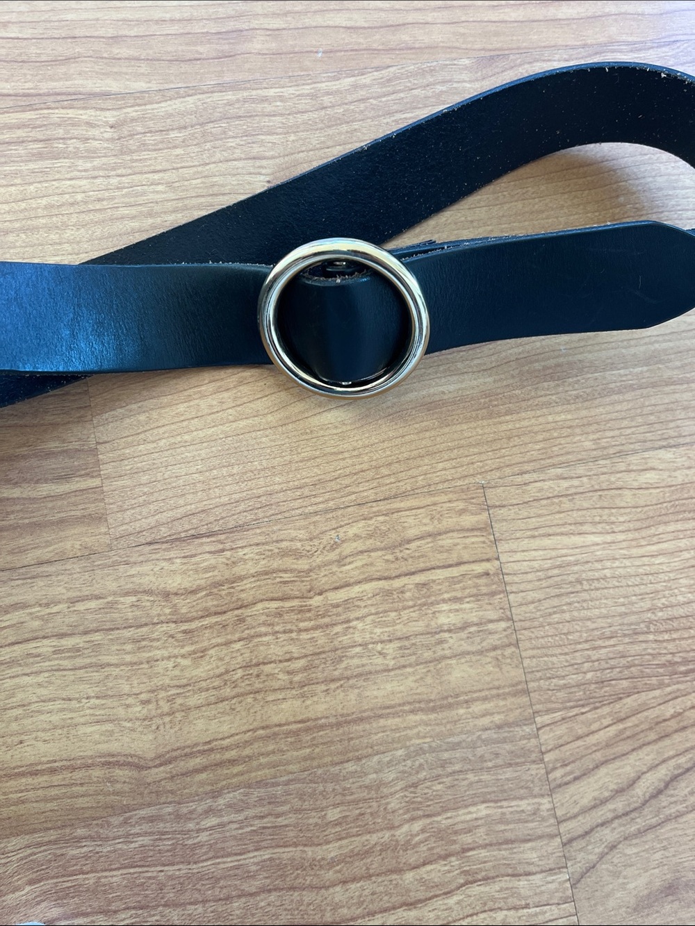Frame O-Ring Black Leather Belt with Gold Ring Buckle